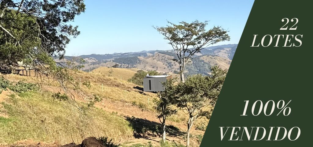 Postal a Castanho e Laranja de Casa para Imobiliária Vendido (2)